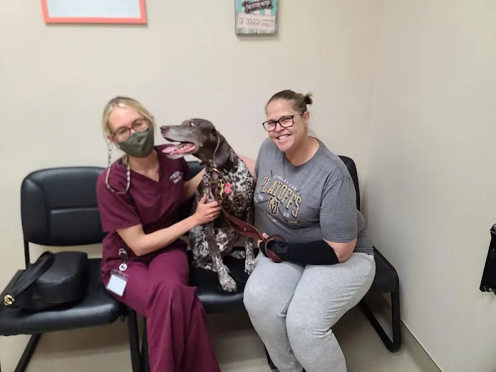 Animal Dermatology Clinic Picture 4