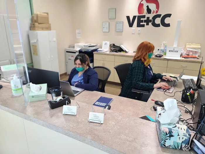 Animal Dermatology Clinic Picture 5