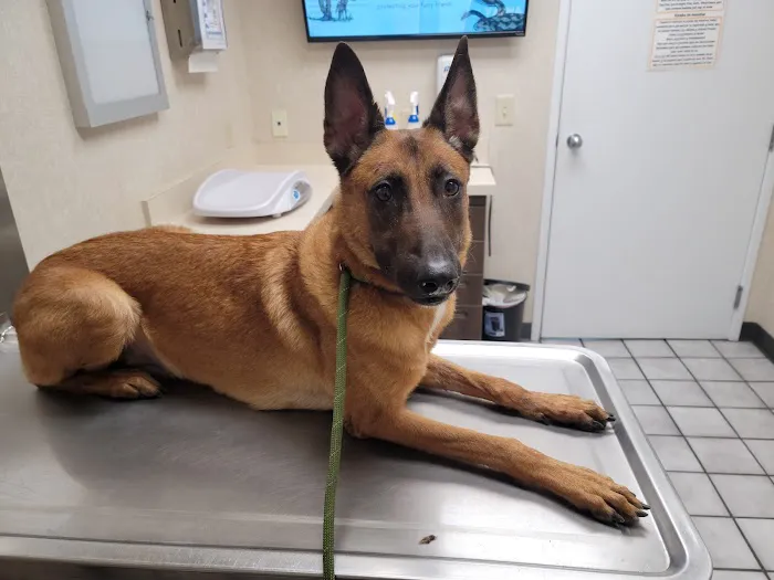 Eastern Veterinary Emergency Hospital Picture 2