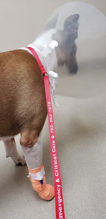 Eastern Veterinary Emergency Hospital Picture 9