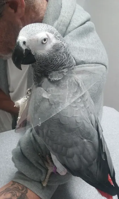 Park Animal Hospital Picture 8