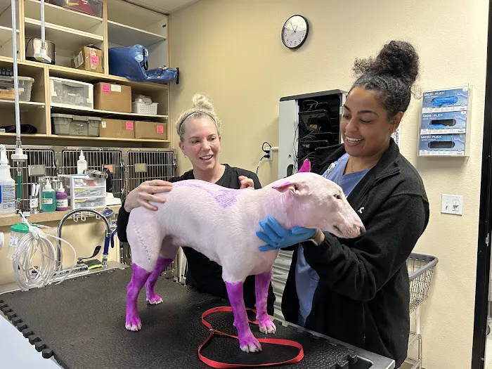 Las Vegas Veterinary Specialty Center Picture 3