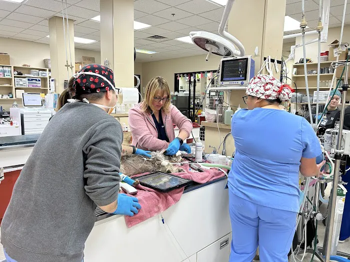 Las Vegas Veterinary Specialty Center Picture 5