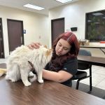 Veterinary Emergency + Critical Care