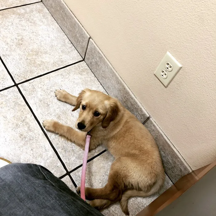 VCA Blue Cross Animal Hospital Picture 6