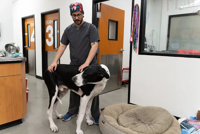 PetSmart Veterinary Services - W Las Vegas (Ft Apache) Picture 2