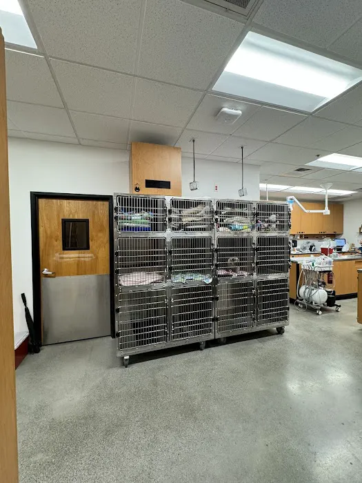 PetSmart Veterinary Services - W Las Vegas (Ft Apache) Picture 7