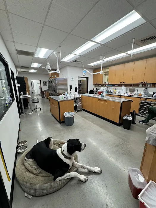 PetSmart Veterinary Services - W Las Vegas (Ft Apache) Picture 9