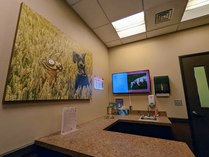 West Russell Animal Hospital Picture 3