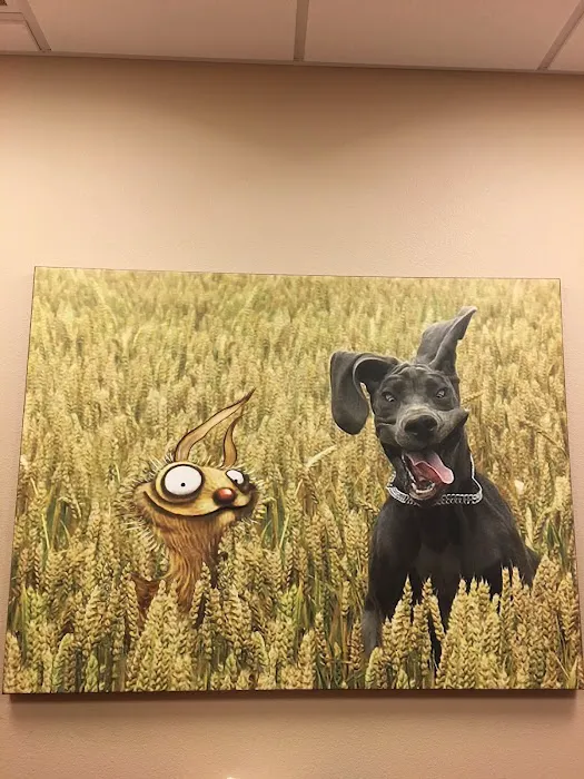 West Russell Animal Hospital Picture 4