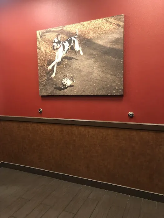 West Russell Animal Hospital Picture 6