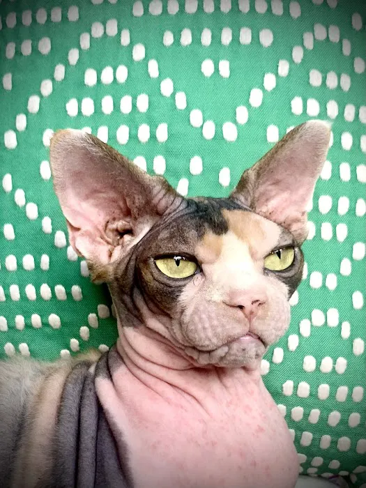 West Russell Animal Hospital Picture 8