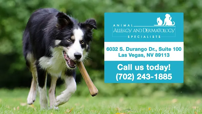 Animal Allergy & Dermatology Specialists Picture 3
