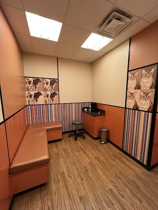 Animal Allergy & Dermatology Specialists Picture 8