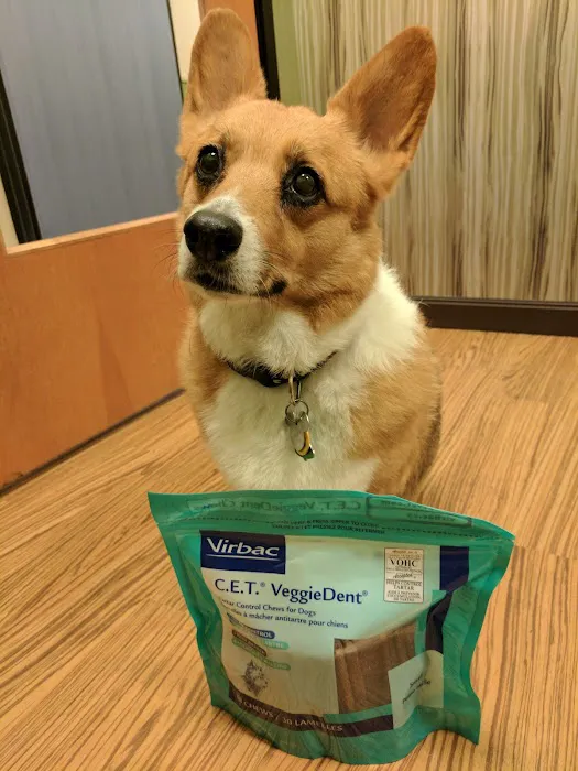 Animal Allergy & Dermatology Specialists Picture 10