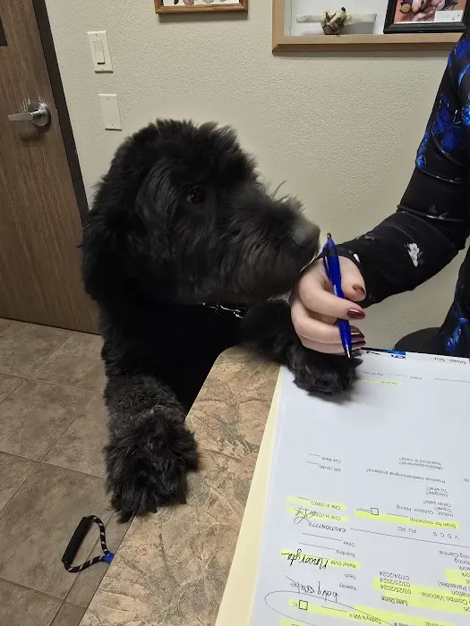 Siena Animal Hospital Picture 8