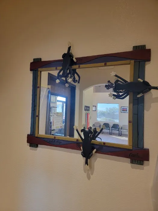 Siena Animal Hospital Picture 9