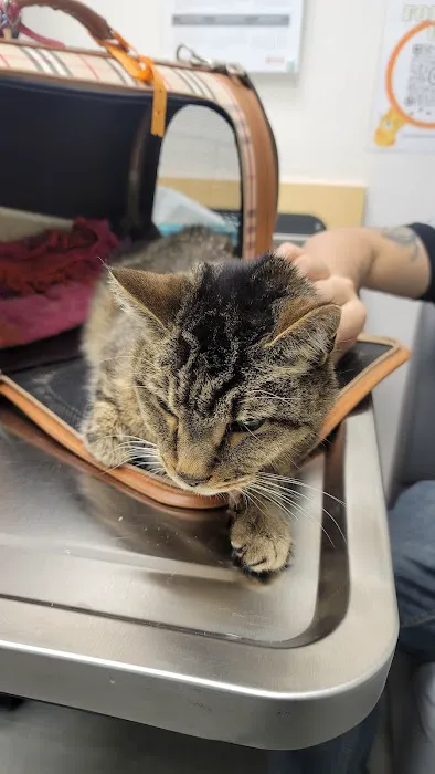 Banfield Pet Hospital Picture 5