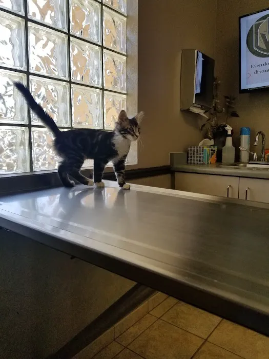 Banfield Pet Hospital Picture 6