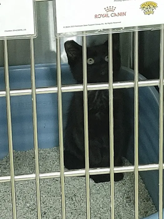 Banfield Pet Hospital Picture 7