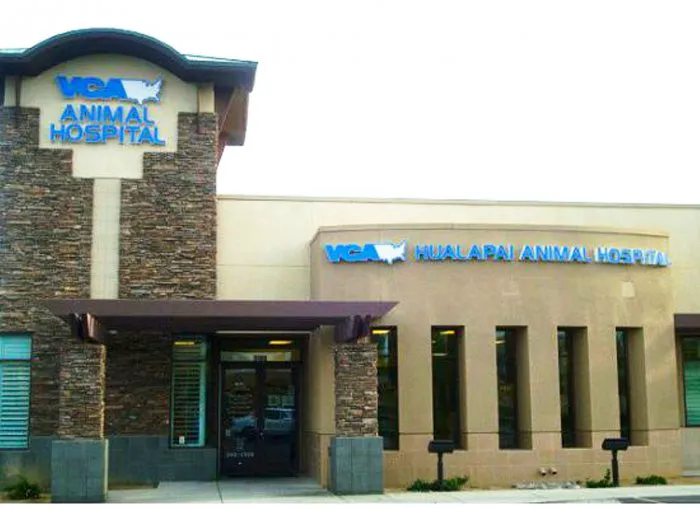 VCA Hualapai Animal Hospital Picture 1