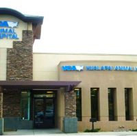 VCA Hualapai Animal Hospital ico