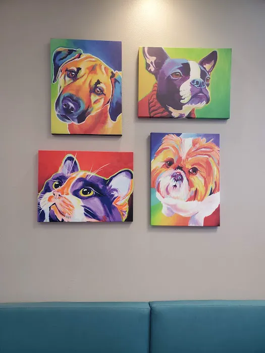 VCA Hualapai Animal Hospital Picture 5