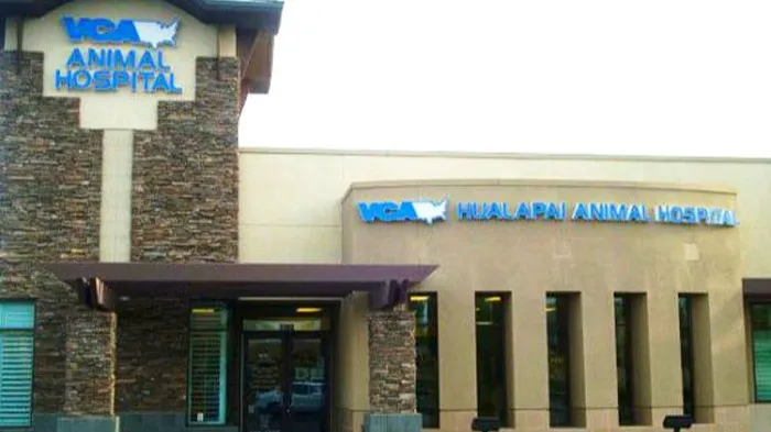 VCA Hualapai Animal Hospital Picture 2
