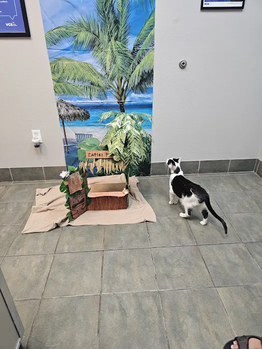 VCA Hualapai Animal Hospital: Strobeck Steven DVM Picture 3