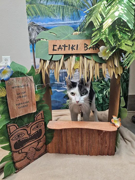 VCA Hualapai Animal Hospital: Strobeck Steven DVM Picture 4