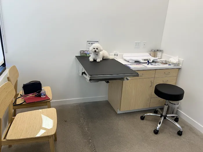Vegas Valley Pet Hospital Picture 7