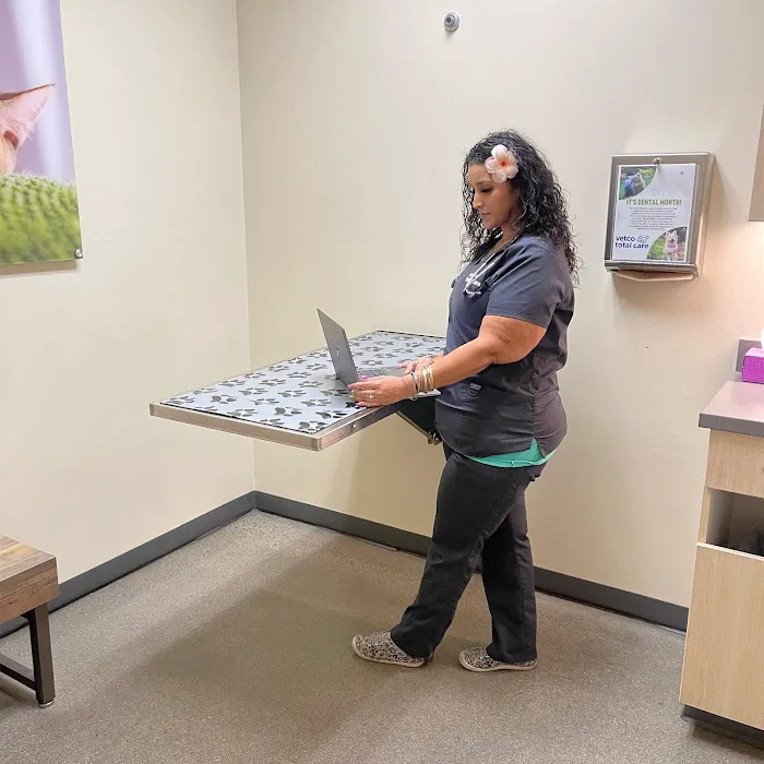 Vetco Total Care Animal Hospital Picture 6