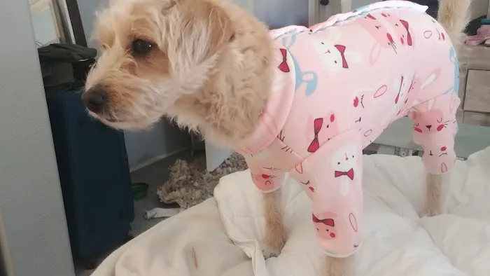Vetco Total Care Animal Hospital Picture 8