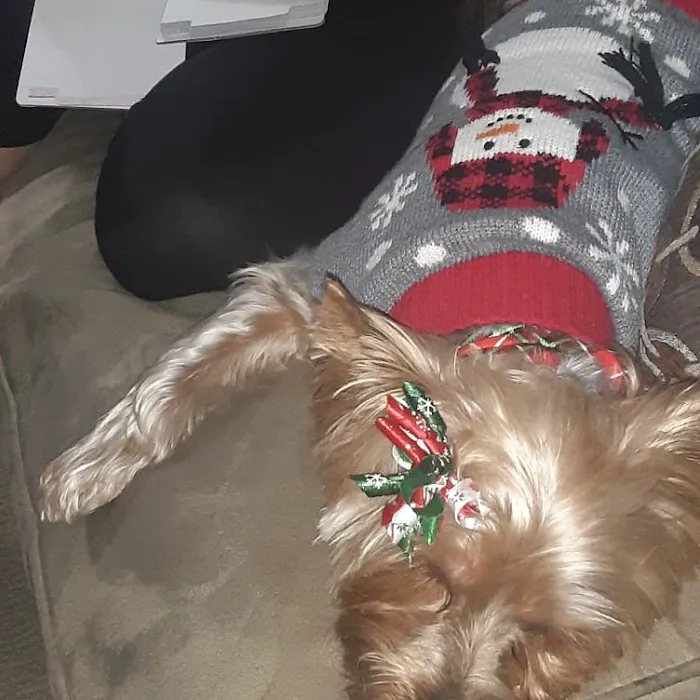Grand Montecito Animal Hospital Picture 4