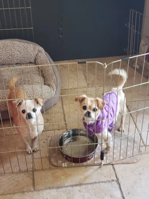 Grand Montecito Animal Hospital Picture 8