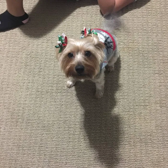 Grand Montecito Animal Hospital Picture 6