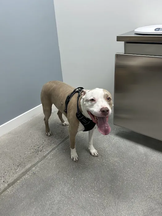 Enterprise Animal Hospital Picture 4