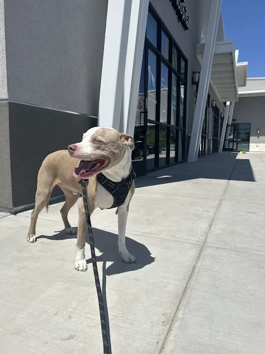 Enterprise Animal Hospital Picture 8