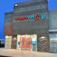 UrgentVet ico