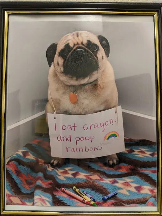 Valley Ranch Animal Hospital: Gershung Tara DVM Picture 7