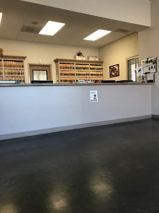 Stephanie Animal Hospital Picture 3