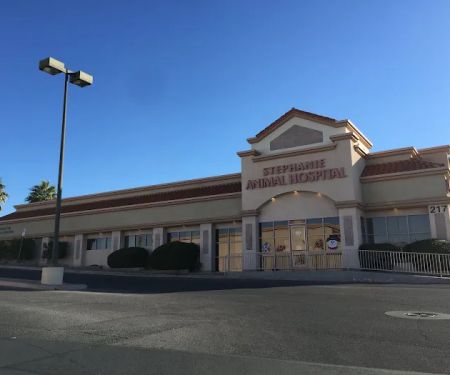 Stephanie Animal Hospital