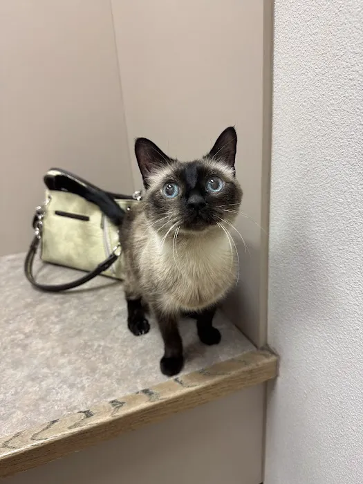 Stephanie Animal Hospital Picture 5