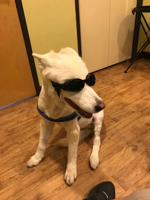 Integrative Veterinary Hospital, LLC Picture 7