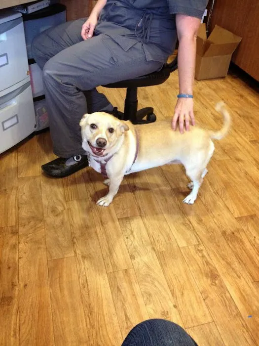 Integrative Veterinary Hospital, LLC Picture 10