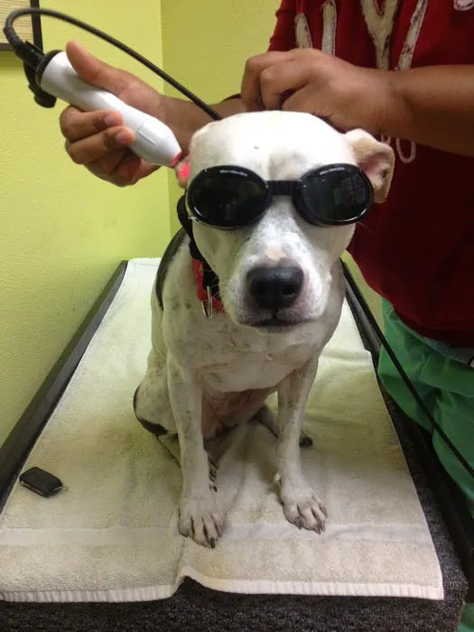 Integrative Veterinary Hospital, LLC Picture 8