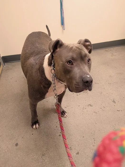 Vetco Total Care Animal Hospital Picture 5