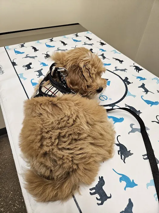 Vetco Total Care Animal Hospital Picture 4