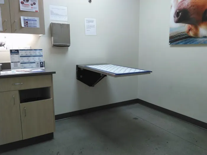 Vetco Total Care Animal Hospital Picture 6