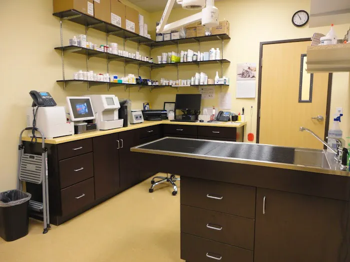 Southern Hills Animal Hospital Picture 4